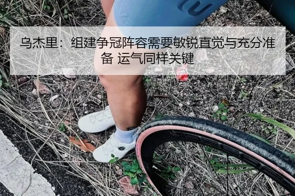 乌杰里:组建争冠阵容需要敏锐直觉与充分准备 运气同样关键